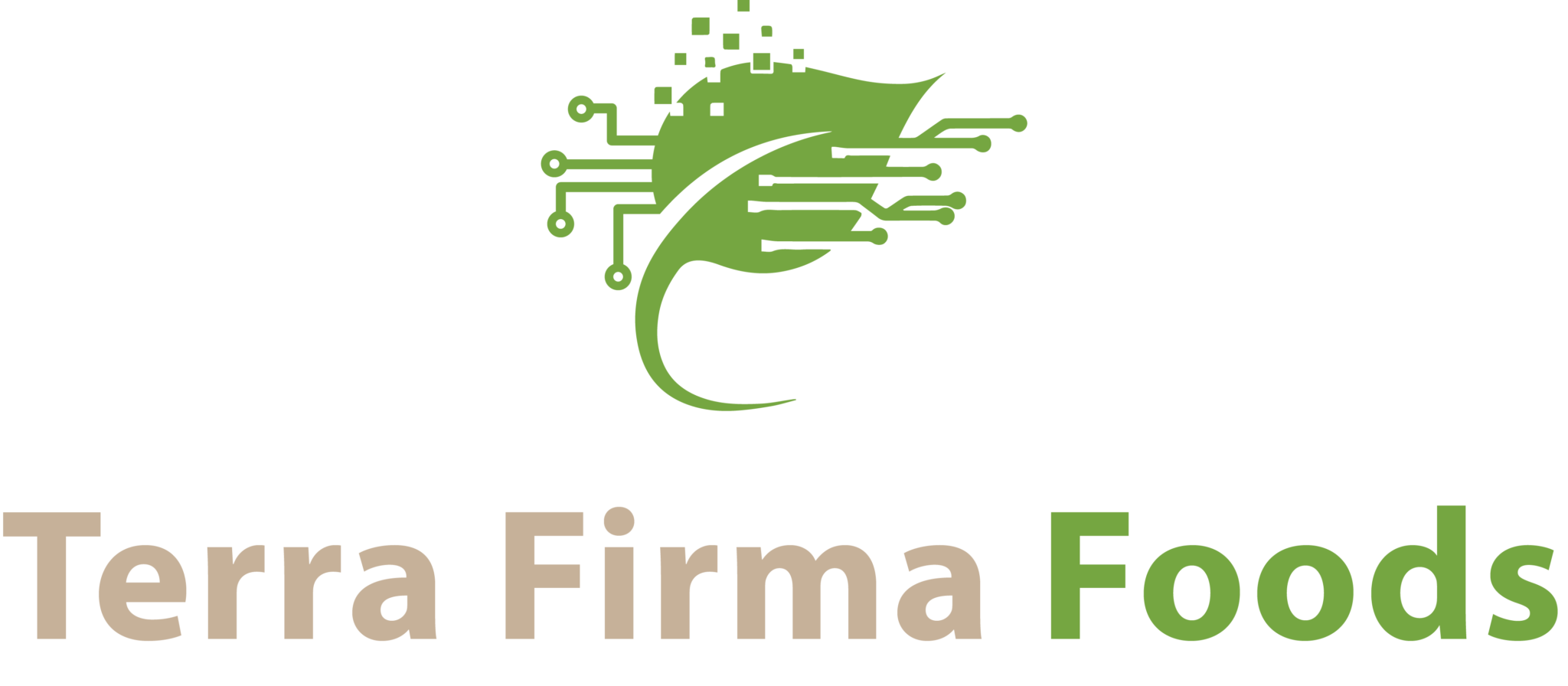 Terra Firma Foods Logo